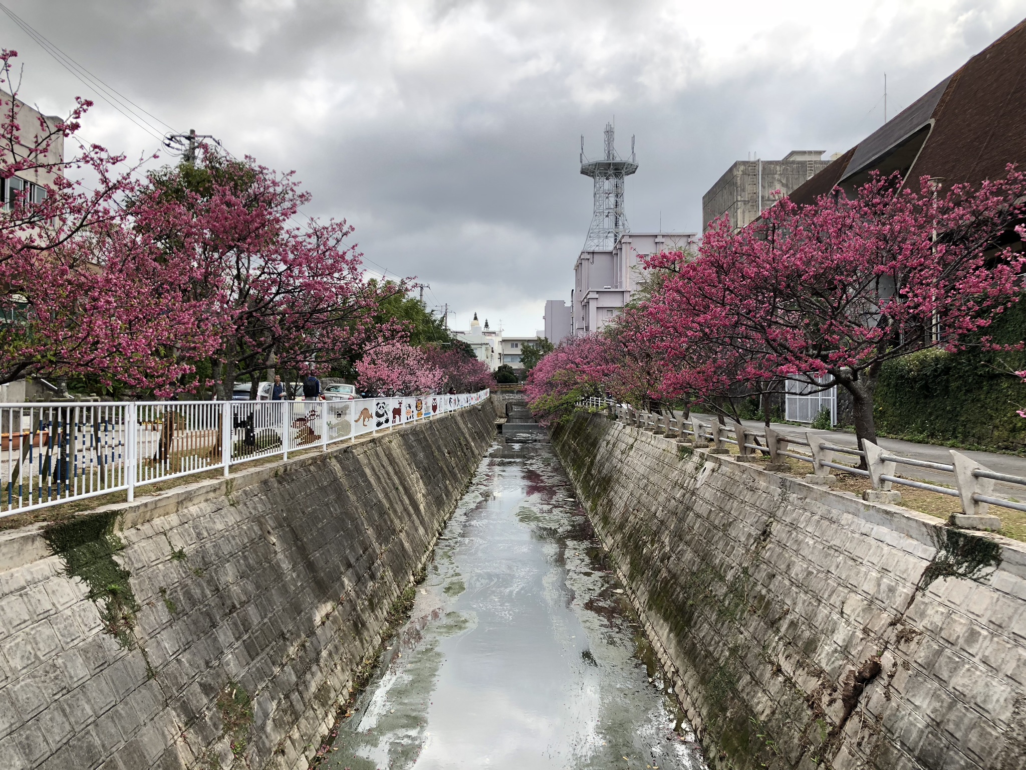 与儀公園 Okinawa41